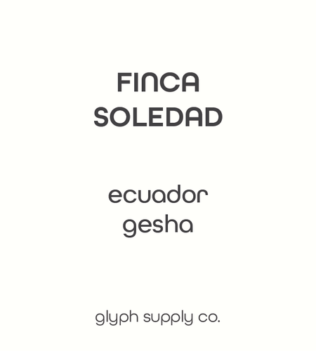 *Filter - Finca Soledad Gesha Ecuador